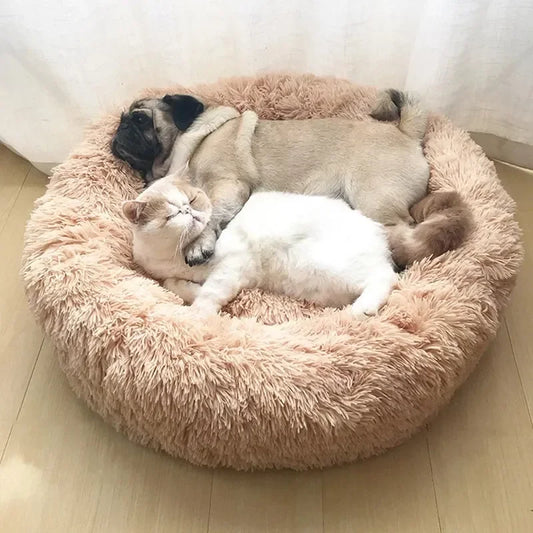 Two pets, a dog and a cat, are lying on a fluffy pink pet bed.