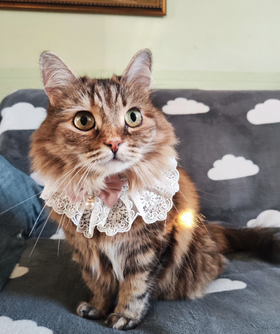 Luna