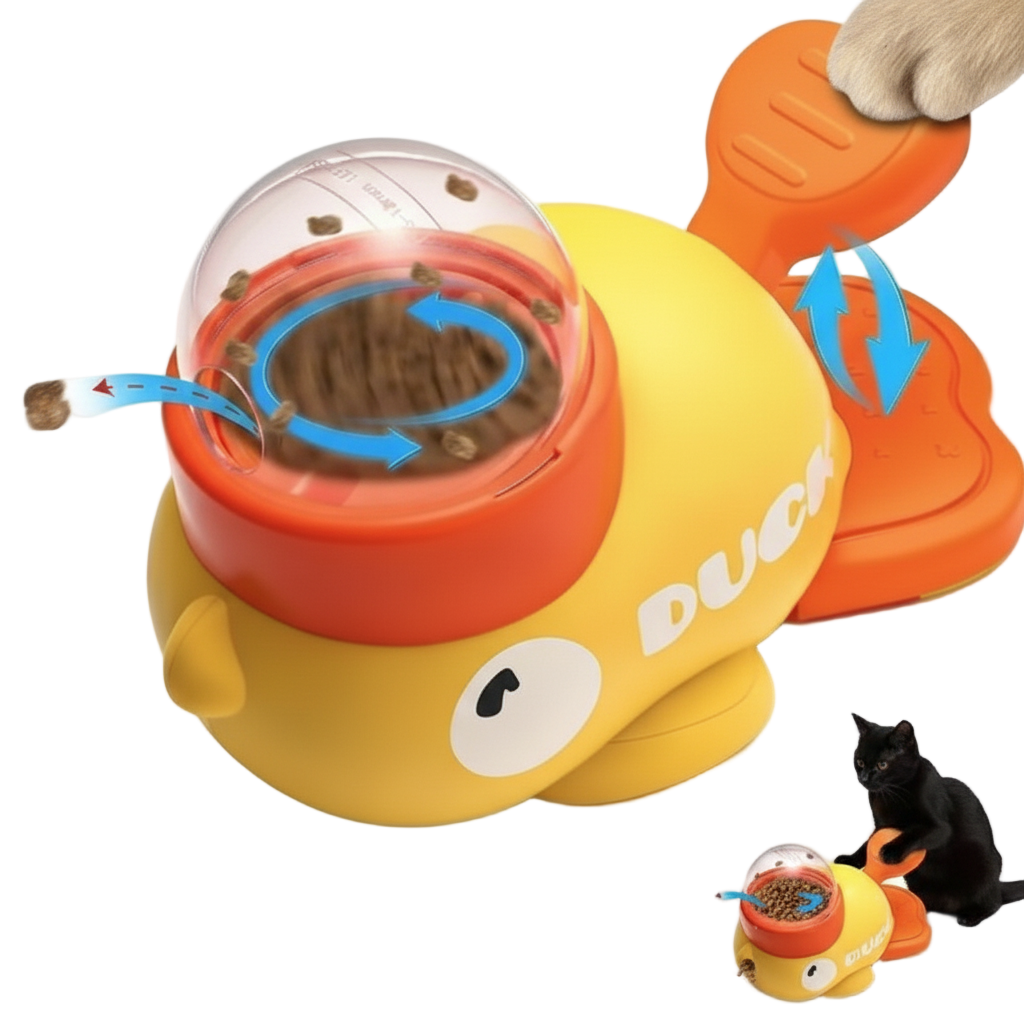 Cat Toys