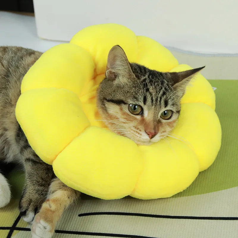 Cat sitting on a yellow pet bed shaped like a sunflower