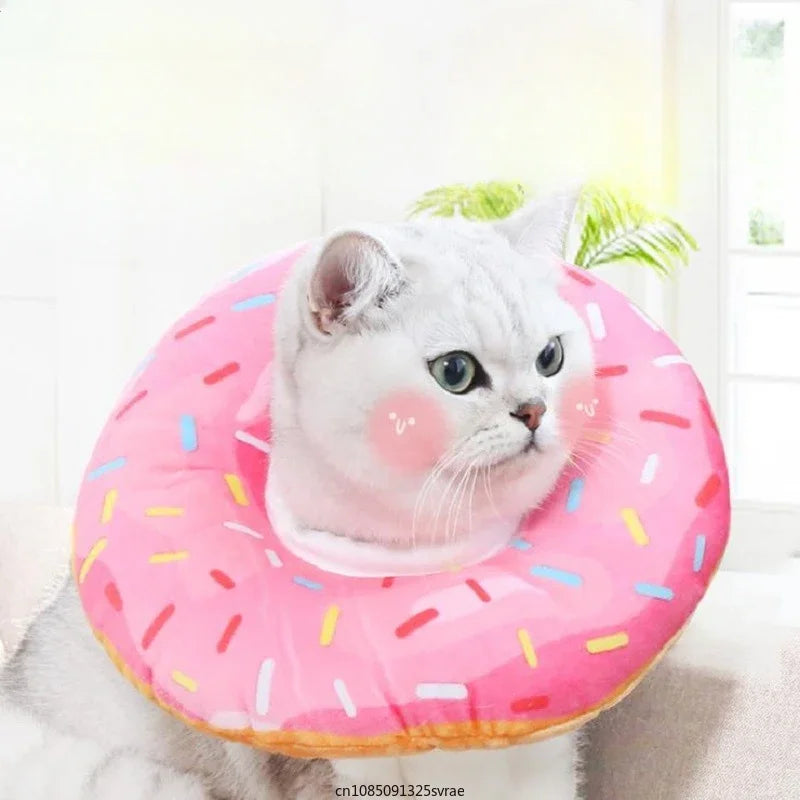 Cat wearing a pink donut-shaped collar with sprinkles on a light background