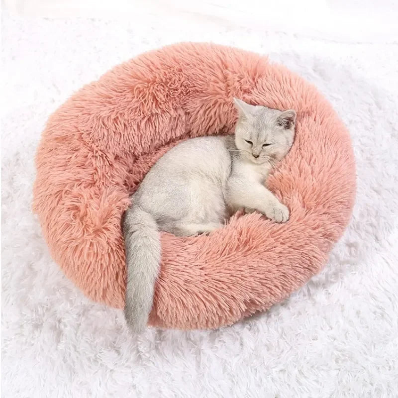 Cat lying on a fluffy pink donut bed against a white background