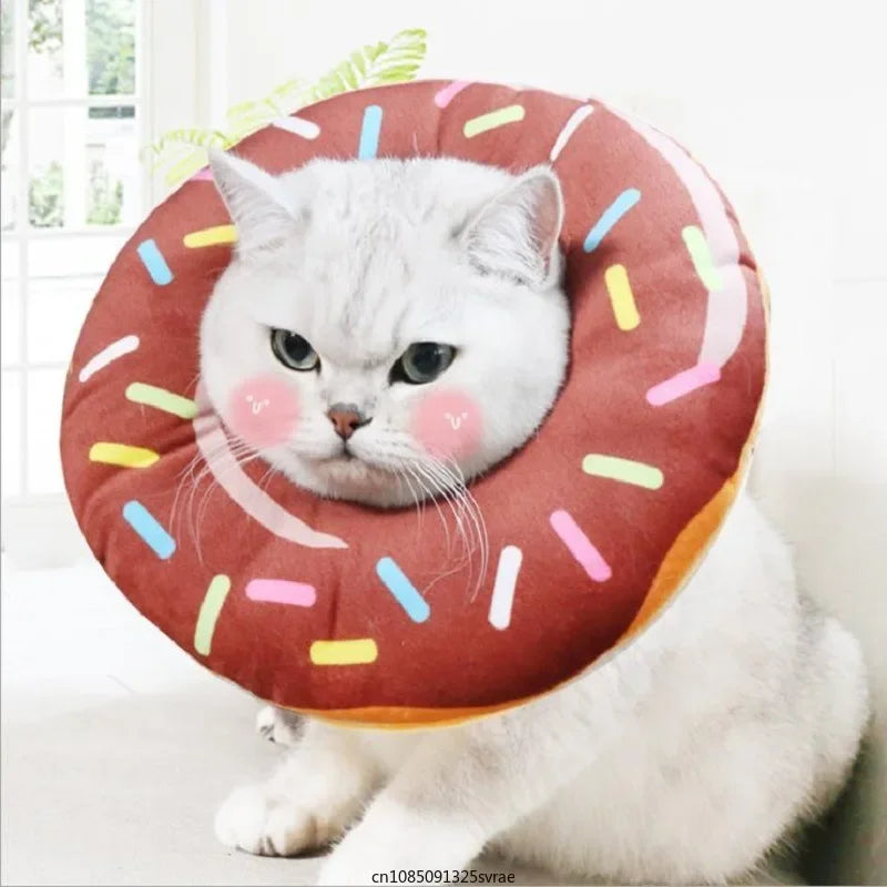 White cat sitting on a donut-shaped pet bed with colorful sprinkles.