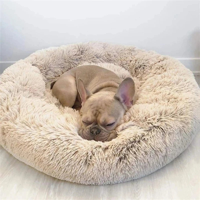 Dog sleeping on a fluffy beige pet bed against a white background