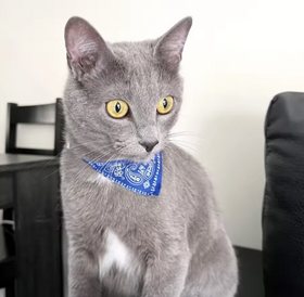 Max