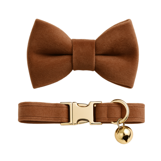 Brown bow tie and collar with gold clasp and bell on a light gray background