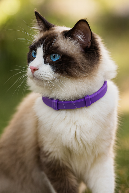 Calming Scent Collar (Heat & Stress Support)